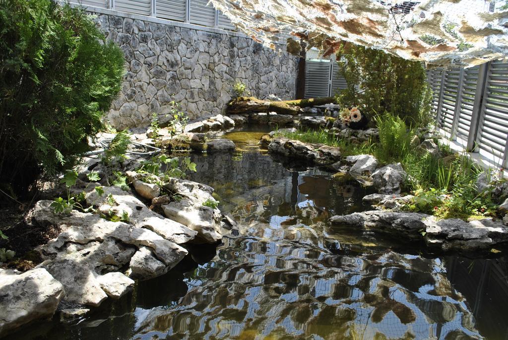迪斯克里特酒店及spa Vladaya 外观 照片